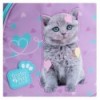 Рюкзак Kite Education Studio Pets SP26-763S
