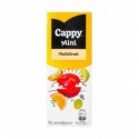 Нектар Cappy Mini Мультифрукт пастеризований 0.2л