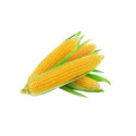 Кукурудза 1шт