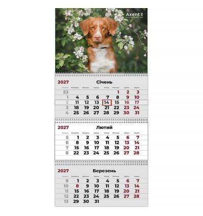 Календар настінний квартальний 2027 р.,3 пр. Dogs 2 , 8803-27-11-A