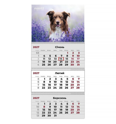 Календар настінний квартальний 2027 р.,3 пр. Dogs 1 , 8803-27-10-A