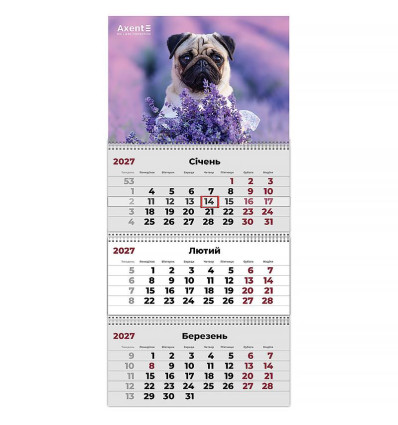 Календар настінний квартальний 2027 р.,3 пр. Dogs 3 , 8803-27-12-A