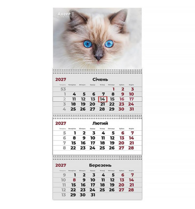Календар настінний квартальний 2027 р.,3 пр. Cats 2 , 8803-27-8-A