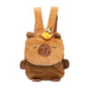 Рюкзак CAPYBARA, розмір 29х23см, ZB.700304