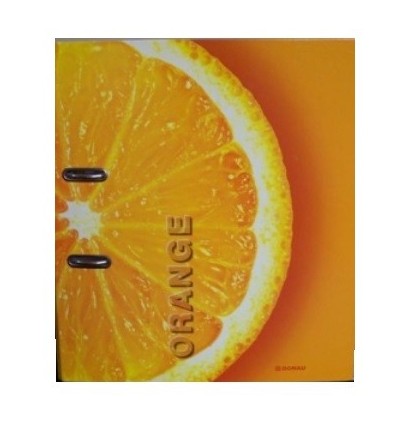 Реєстратор FRUITS A4 / 70, апельсин