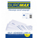 Етикетки BUROMAX BM.2813 самоклеючі, 210х148,5мм 2шт/л 100л