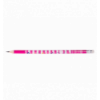 Олівець графітовий HB з гумкою FLOWERS, 100шт. в тубі, KIDS Line
