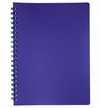 Тетрадь для записей STATUS, L2U, А4, 80 л., клетка, чароит, пласт.обложка