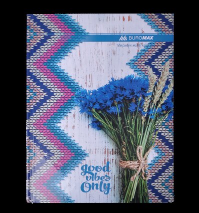 Книга канцелярська ROMANTIC, А4, 96 арк., клітинка, офсет, тв. лам. обкл., синя ( BM.2400-302і )
