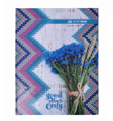 Книга канцелярська ROMANTIC, А4, 96 арк., клітинка, офсет, тверда ламінована обкладинка, синя ( BM.2