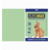 Цветная бумага BUROMAX PASTEL светло-зеленая А4 80г/м² 50 листов ( BM.2721250-15 )