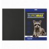 Кольоровий папір BUROMAX DARK чорний А4 80г/м² 20 аркушів ( BM.2721420-01 )
