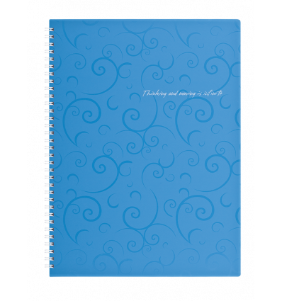 Тетрадь для записей BAROCCO, А4, 80 л., клетка, пластиковая обложка, голубая
