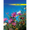 Книга канцелярська NATURE, А4, 96 арк., клітинка, офсет, тверда ламінована обкладинка, асорті ( BM.2