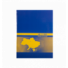 Книга канцелярська UKRAINE, А4, 192 арк., клітинка, офсет, тв. лам. обкл., асорті ( BM.2404 )