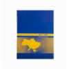 Книга канцелярська UKRAINE, А4, 192 арк., клітинка, офсет, тверда ламінована обкладинка, асорті