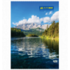 Книга канцелярська ПРИРОДА, JOBMAX, А4, 96 арк., клітинка, тверда ламінована обкладинка, асорті ( BM
