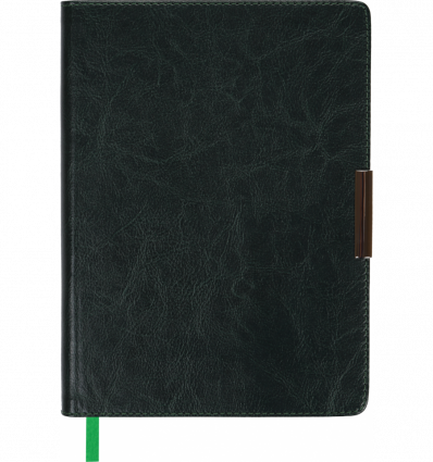 Щоденник недатований SALERNO, A5, зелений