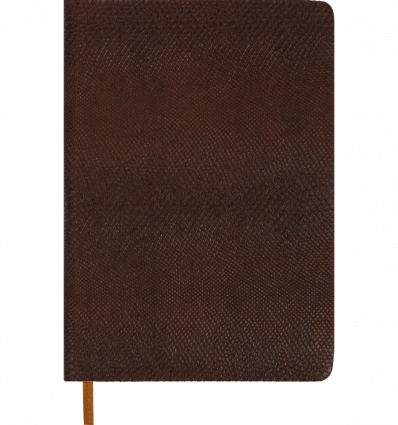 Щоденник недатований AMAZONIA, L2U, A5, коричневий, шт.шкіра