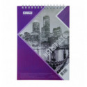 Блокнот на пружине сверху METROPOLIS, А5, 48 л., клетка, карт. обл., фиолетовый ( BM.24545101-07 )