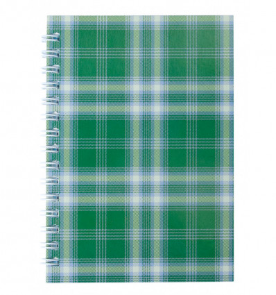 Зошит для нотаток SHOTLANDKA, А6, 48 арк., клітинка, картонна обкладинка, зелений