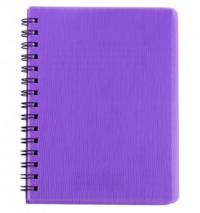 Зошит для нотаток RAIN, А6, 80 арк., клітинка, пластикова обкладинка, фіолетовий