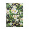 Записна книжка FLORISTICA, А5, 96 арк., клітинка, тверда картонна обкладинка, салатова ( BM.24511104