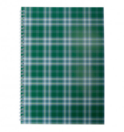 Зошит для нотаток SHOTLANDKA, А4, 48 арк., клітинка, картонна обкладинка, зелений