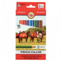 Карандаши цветные TRIOCOLOR Jumbo "Horses" , 12 цв