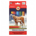 Олівці кольорові TRIOCOLOR Jumbo "Horses", 24 кольори. Картонна упаковка.