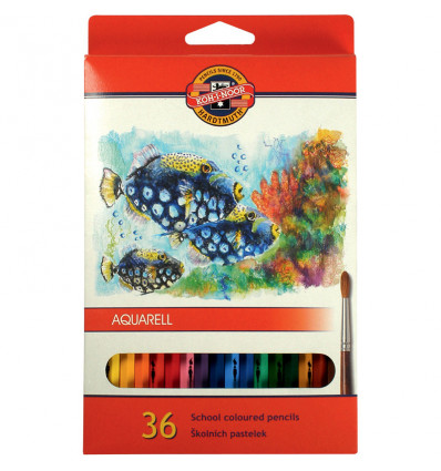 Олівці кольорові акварельні MONDELUZ "Рибки", 36 кольорів, картонна упаковка