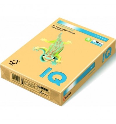 Цветная бумага IQ GO22 золотая А4 80г/м² 500л (A4.80.IQS.GO22.500)