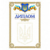 Бланк "Диплом" 2 ( bt.000007653 )