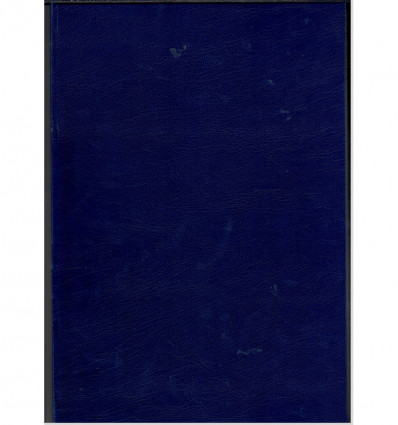 Книга обліку, клітинка, ТП, бумвініл., 192 арк.офс.