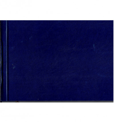 Головна книга, А4, ТП, бумвініл, 96 аркушів офсет ( bt.000000334 )