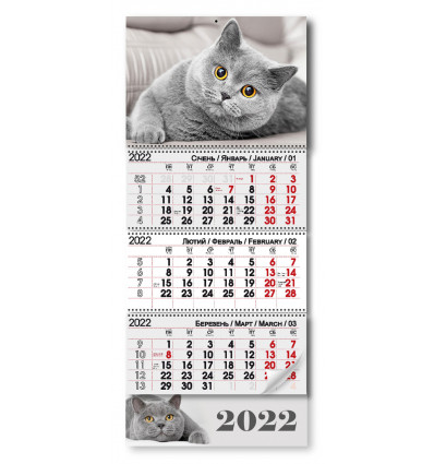 Квартальний календар 2022 "Сірий кіт"