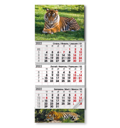 Квартальный календарь 2022 "Тигр на отдыхе"
