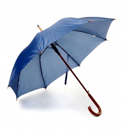 Зонт-трость Синий